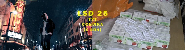 PSILOCYBIN Армянск