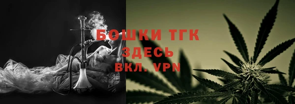 дживик Арсеньев