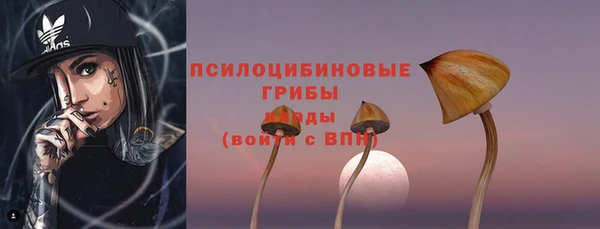 дживик Арсеньев