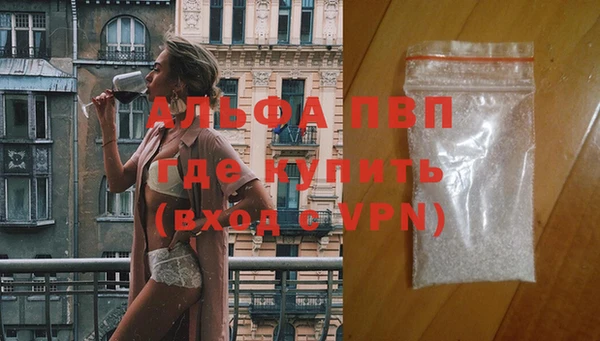 дживик Арсеньев