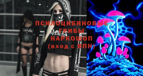 дживик Арсеньев